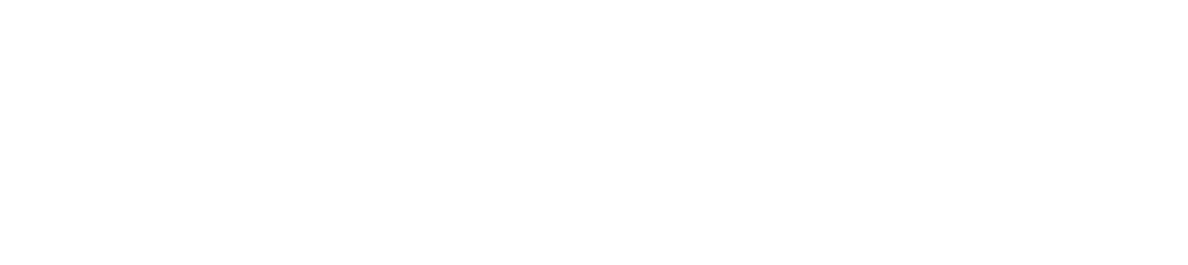 Main Logo White